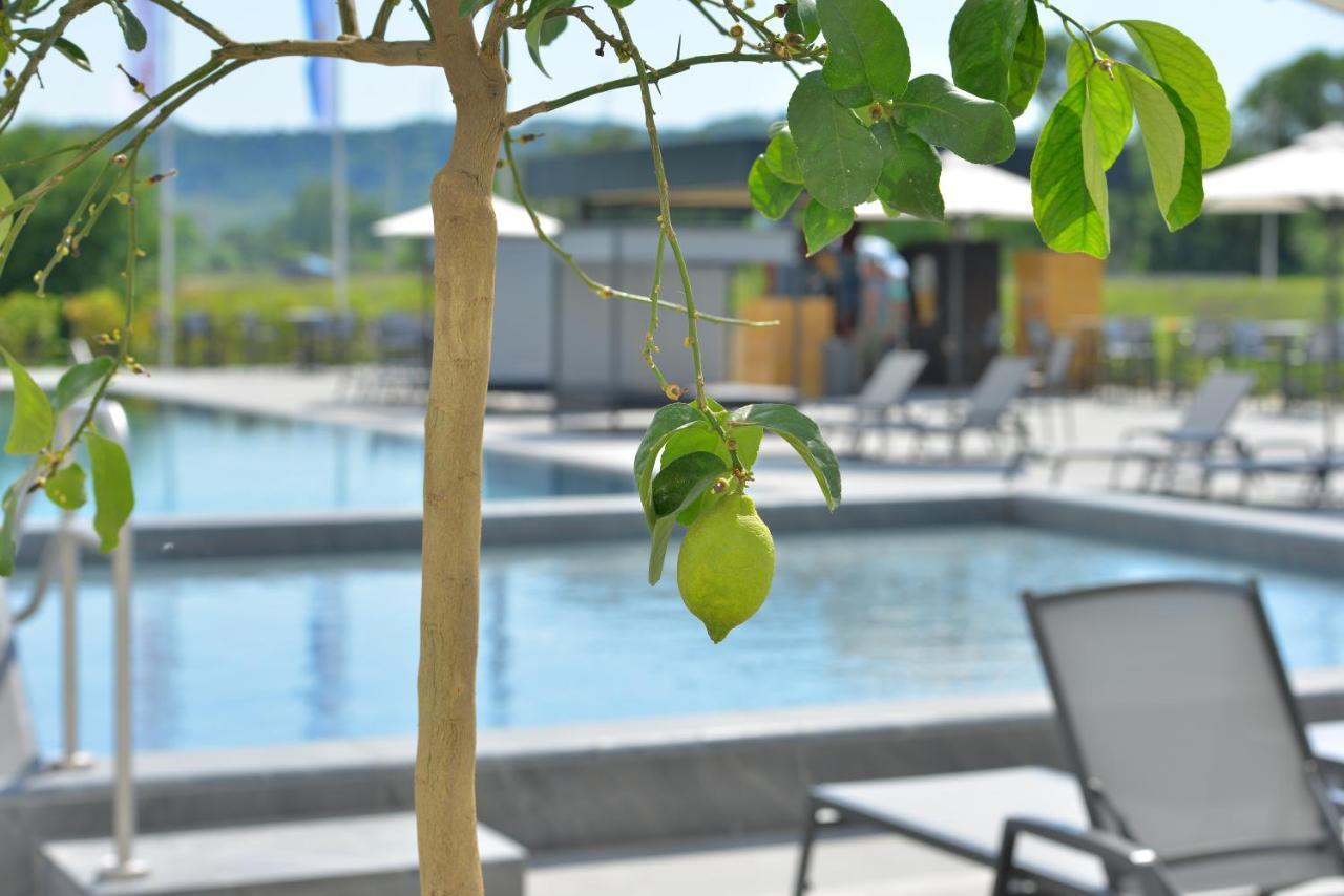 Mk Hotel Tirana Rinas Luaran gambar The swimming pool